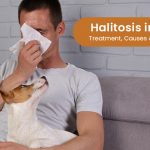 Halitosis in Dogs