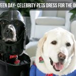Halloween Day