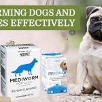 Deworming dogs