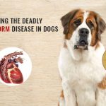 Heartworm Disease in Dogs