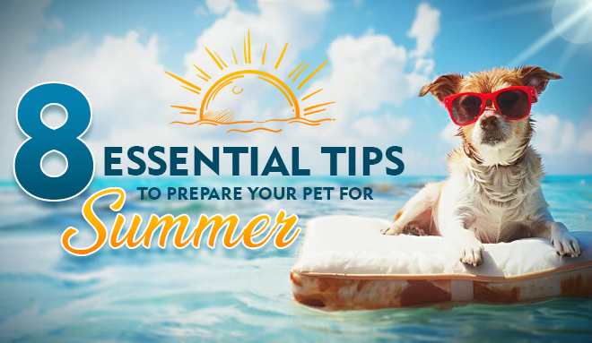 8 Essential Tips to Prepare Your Pet for Summer