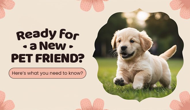 discpuntpetcare_ready_for_a_new_pet_friend
