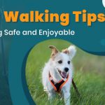 discountpetcare-dogwalking tips.jpg