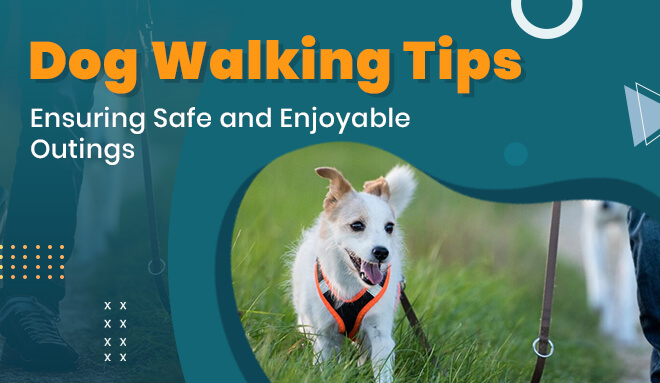 discountpetcare-dogwalking tips.jpg