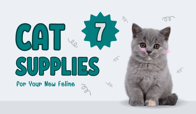 discpuntpetcare_cat_supplies