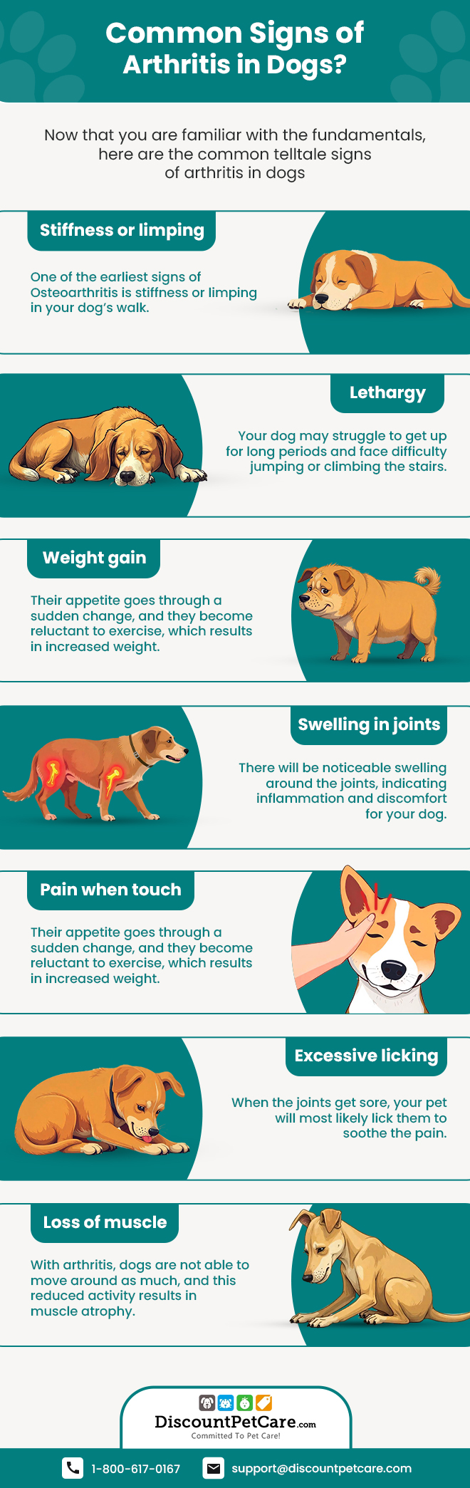 infographic_image_of_Common_sign_of_arthritis-In-dogs_from_discountpetcare