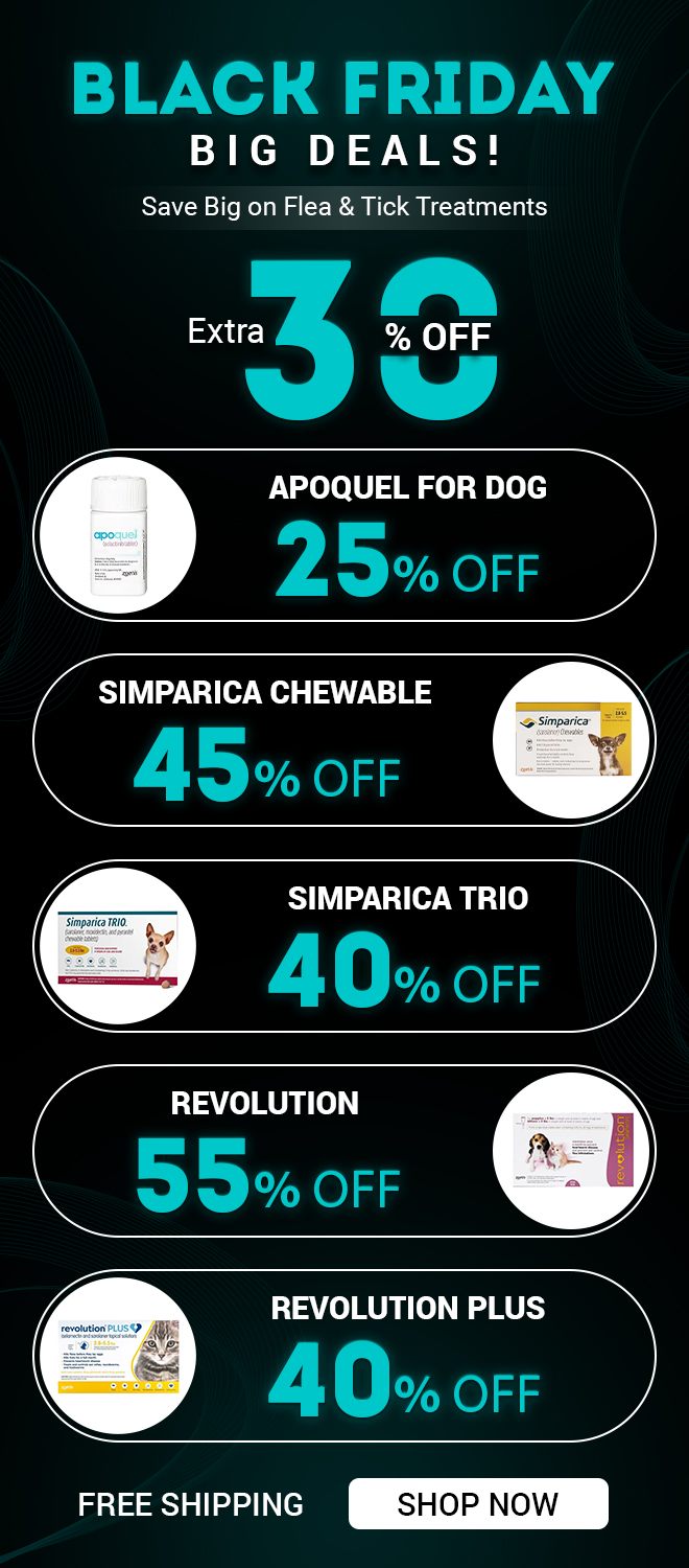 black-friday-cyber-monday sale-offer