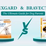 image_of_nexgard_vs_bravecto_ultimate_guide_for_dog_parent_from_discountpetcare