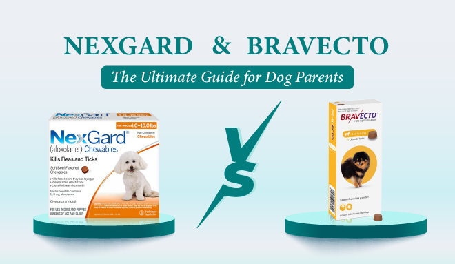 image_of_nexgard_vs_bravecto_ultimate_guide_for_dog_parent_from_discountpetcare