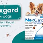 blog-image-nexgard-for-dog-from-discountpetcare-