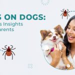 blog-image-of-ticks-on-dog-from-discountpetcare