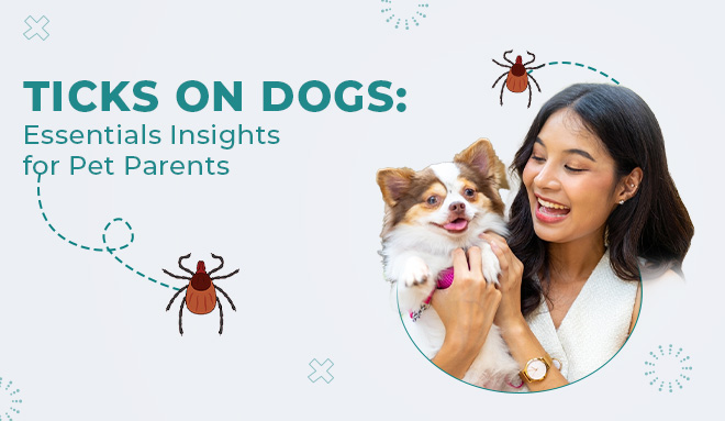 blog-image-of-ticks-on-dog-from-discountpetcare