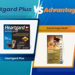heartgard plus-vs-advantage-multi-for-dog-from-discountpetcare