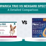 Simparica Trio vs NexGard Spectra