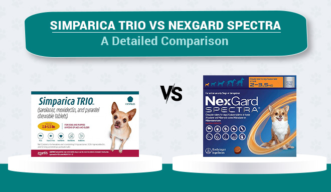 Simparica Trio vs NexGard Spectra