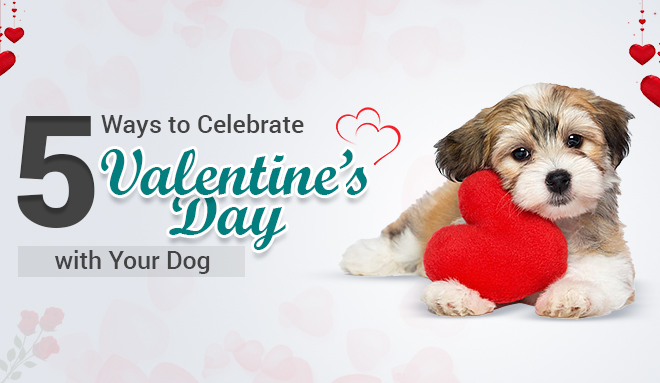 image-of-Valentine’s-Day-With-Your-Dog-from-discountpetcare.jpg