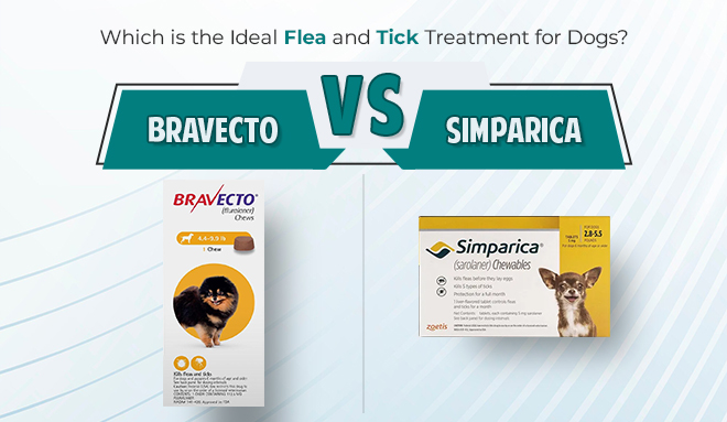 image-of-bravecto-or-simparica-for-dog-from-discountpetcare.jpg