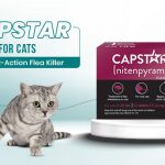 image-of-capstar-for-cats-from-discountpetcare