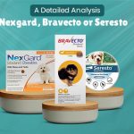 Blog_image_of_Nexgard, Bravecto, or Seresto_from_discountpetcare