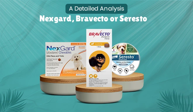 NexGard vs Bravecto Vs Seresto