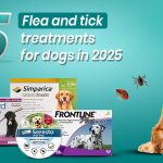 5 top flea tick treatments for dog