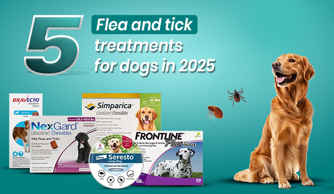 5 top flea tick treatments for dog
