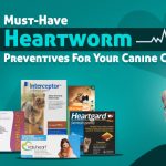 image-of-Heartworm-Preventatives-for-dog-from-discountpetcare