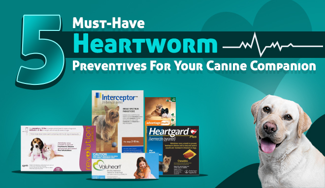 image-of-Heartworm-Preventatives-for-dog-from-discountpetcare