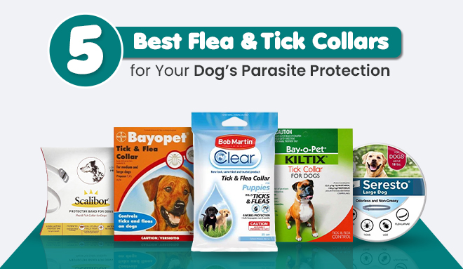 5-best-flea-tick-collars-for-dogs