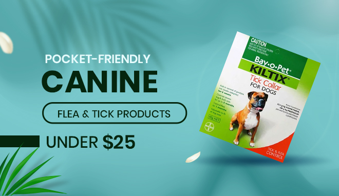 Canine Flea Control Products
