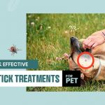 Flea and Tick Treatments