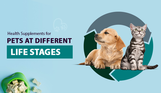 Health Supplements for Pets