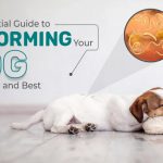 Deworming Your Dog - Frequency and Best Practices
