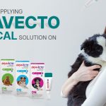 How To Use Bravecto For Dogs
