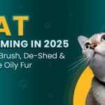 CAT Grooming Tips 2025