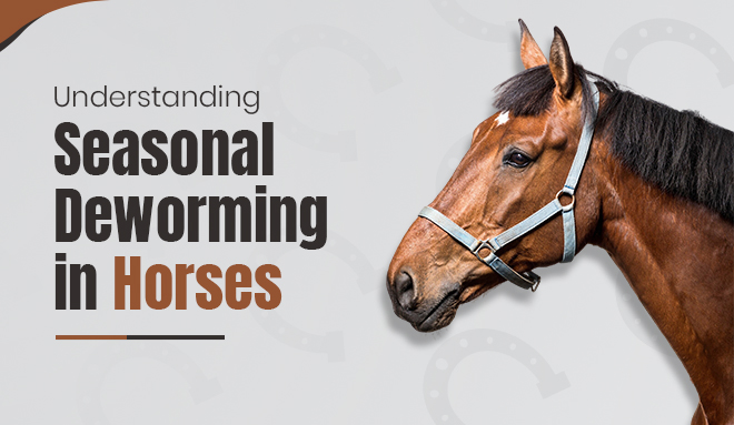 Seasonal Deworming in Horses
