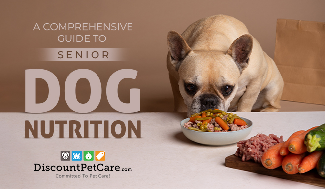 Senior Dog Diet