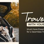 dog road trip essentials