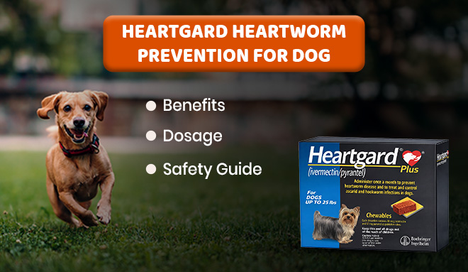 Heartgard Heartworm Prevention for Dogs