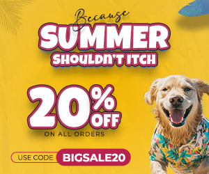 Summer Sale