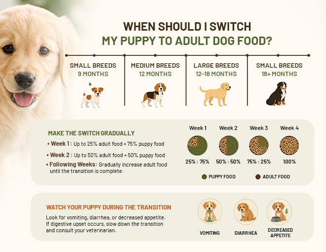 When Should Puppies Switch to Adult Dog Food?