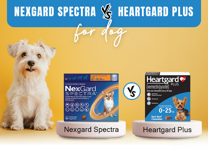 NexGard Spectra vs. Heartgard Plus for Dogs: A Complete Comparison