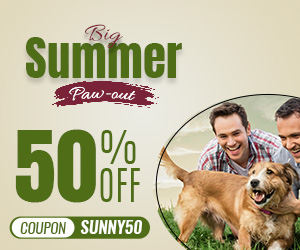 Summer End Sale - 50% OFF - SUNNY50 - DiscountPetCare
