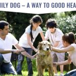 Family dog