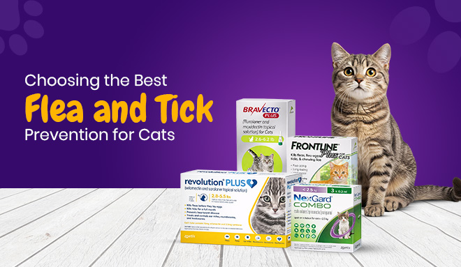 flea and tick prevention for cats