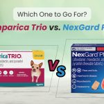 Simparica Trio Vs Nexgard plus