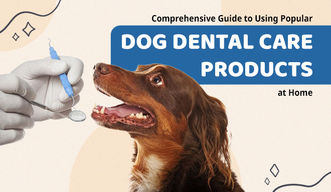 Dog Dental Care Products