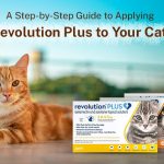 revolution plus flea treatment to cats