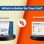 Revolution Vs Revolution plus