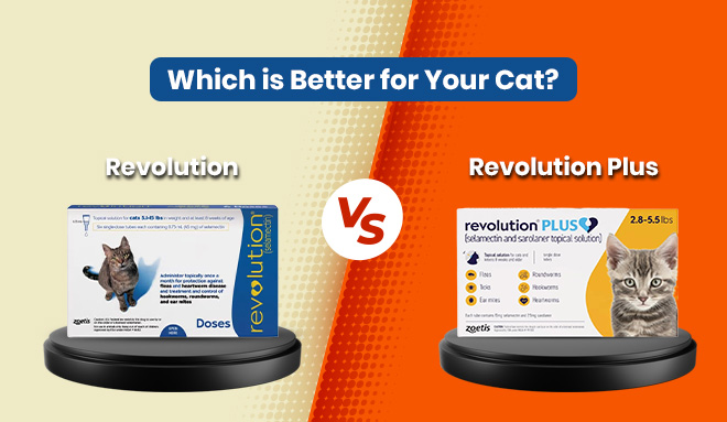 Revolution Vs Revolution plus